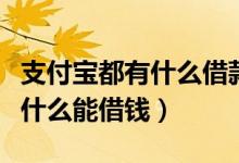 支付宝都有什么借款利息比较低（支付宝都有什么能借钱）