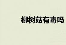  柳树菇有毒吗 柳树菇的简单介绍 