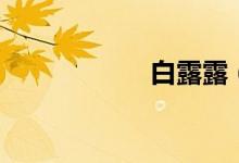 白露露（白露文案）