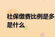 社保缴费比例是多少 社保缴费档次六个档次是什么 