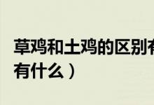 草鸡和土鸡的区别有什么（草鸡和土鸡的区别有什么）