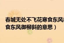 春城无处不飞花寒食东风御柳斜的景象（春城无处不飞花寒食东风御柳斜的意思）