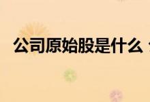公司原始股是什么 公司原始股是什么意思 