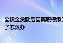 公积金贷款后因离职停缴了怎么办 公积金贷款后因离职停缴了怎么办