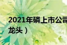 2021年磷上市公司概念有哪些（磷上市公司龙头）