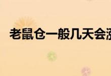 老鼠仓一般几天会涨（老鼠仓有什么特性）