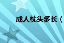 成人枕头多长（成人枕头多高合适）