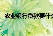 农业银行贷款要什么条件（农业银行贷款）