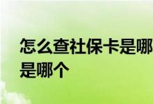 怎么查社保卡是哪个银行的 社保卡银行账户是哪个 