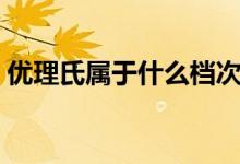 优理氏属于什么档次（优理氏属于什么档次）