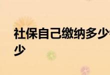 社保自己缴纳多少钱 职工社保缴纳比例是多少 