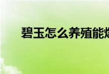 碧玉怎么养殖能爆盆（碧玉怎么养殖）