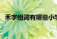 禾字组词有哪些小学生（禾字组词有哪些）