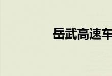  岳武高速车祸原因是什么? 