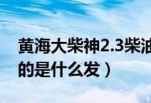 黄海大柴神2.3柴油发动机（黄海大柴神机用的是什么发）