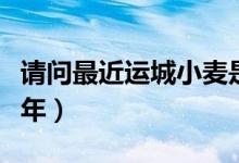 请问最近运城小麦是什么价格（请问最近这几年）