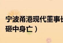 宁波甬港现代董事长赵庆身价（赵庆被打桩机砸中身亡）