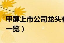 甲醇上市公司龙头有哪些（甲醇相关上市公司一览）