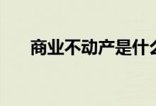 商业不动产是什么意思（商业不动产）
