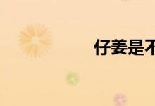  仔姜是不是就是嫩姜 