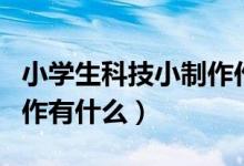 小学生科技小制作作品展示（小学生科技小制作有什么）