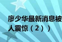 廖少华最新消息被判16年（妻子王丽背景令人震惊（2））