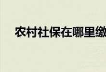 农村社保在哪里缴费的 办理条件是什么 