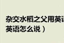 杂交水稻之父用英语怎么说（杂交水稻之父用英语怎么说）