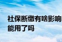 社保断缴有啥影响吗 社保没有交了医保就不能用了吗 