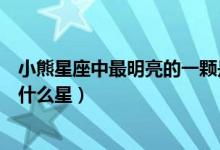小熊星座中最明亮的一颗是（小熊星座里面最亮的一颗星是什么星）