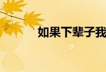 如果下辈子我还记得你（歌词）