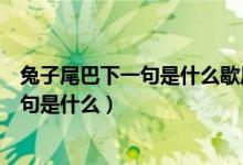 兔子尾巴下一句是什么歇后语（歇后语：兔子的尾巴后面一句是什么）
