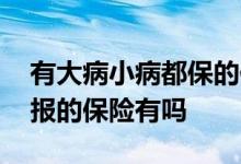 有大病小病都保的保险吗 大病小病住院都能报的保险有吗