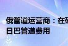 俄管道运营商：在研究其他的方法来支付德鲁日巴管道费用