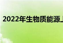 2022年生物质能源上市公司龙头股票有哪些