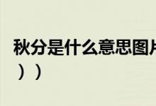 秋分是什么意思图片（秋分是什么意思（图文））