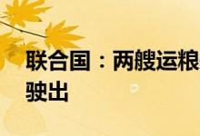 联合国：两艘运粮船被批准8月9日从乌克兰驶出