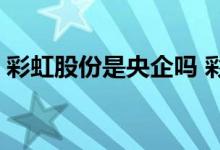 彩虹股份是央企吗 彩虹股份是国企还是私企 