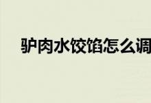 驴肉水饺馅怎么调（驴有饺子馅怎么调）