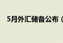 5月外汇储备公布（中国外汇储备多少亿）