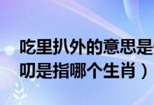 吃里扒外的意思是什么动物（吃里扒外,爱唠叨是指哪个生肖）