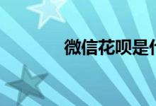 微信花呗是什么（怎么开通）