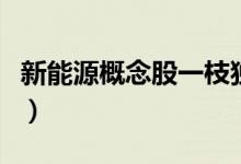 新能源概念股一枝独秀（新能源概念股有哪些）