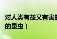 对人类有益又有害的物质（对人类有益又有害的昆虫）