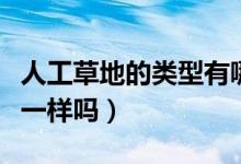 人工草地的类型有哪些（人工草地和人种草地一样吗）