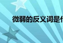 微弱的反义词是什么（微弱的反义词）