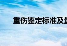 重伤鉴定标准及量刑（重伤鉴定标准）