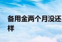 备用金两个月没还 备用金一个月没还会怎么样