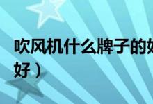 吹风机什么牌子的好一点（吹风机什么牌子的好）