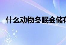 什么动物冬眠会储存食物（什么动物冬眠）